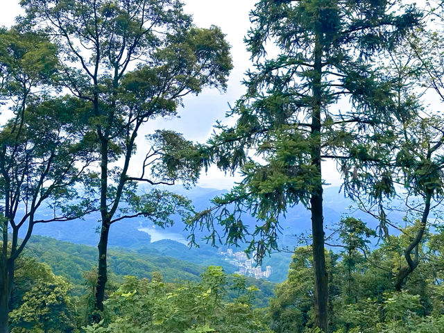 帽峰山，隱匿於繁華市區的一片森林綠洲