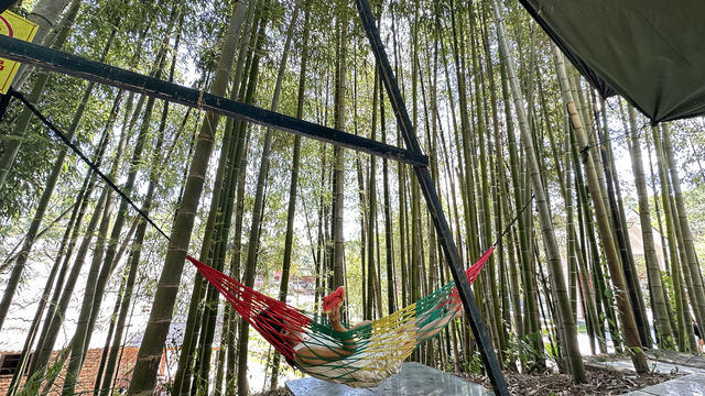 連城冠豸山寶藏民宿。