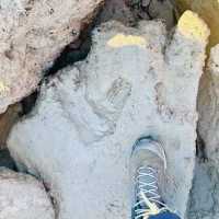 The Real Footprint of Dinosaur 🦕🐾 Live Fossil at Gantheaume Point🇦🇺