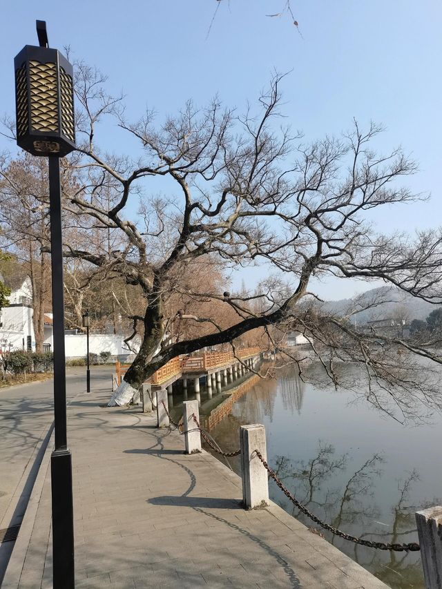 寧波慈城｜江南第一的古縣城。