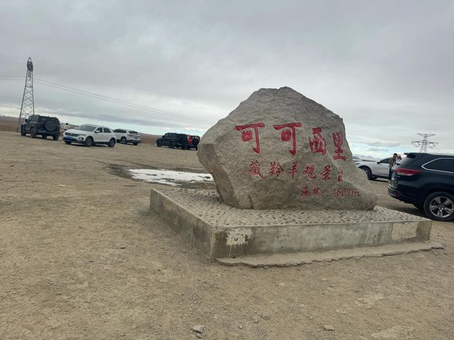 青海可可西里｜探索青藏高原上的生態寶庫。