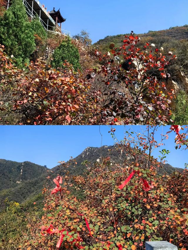 河南許昌大鴻寨 | 邂逅自然之美!!!。