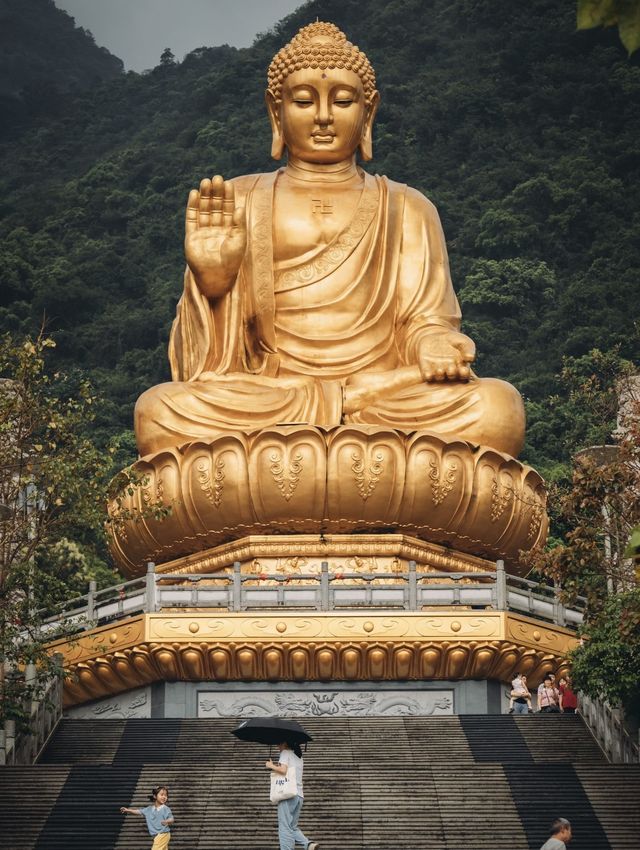 山與山不見面，再見容易，再見難。