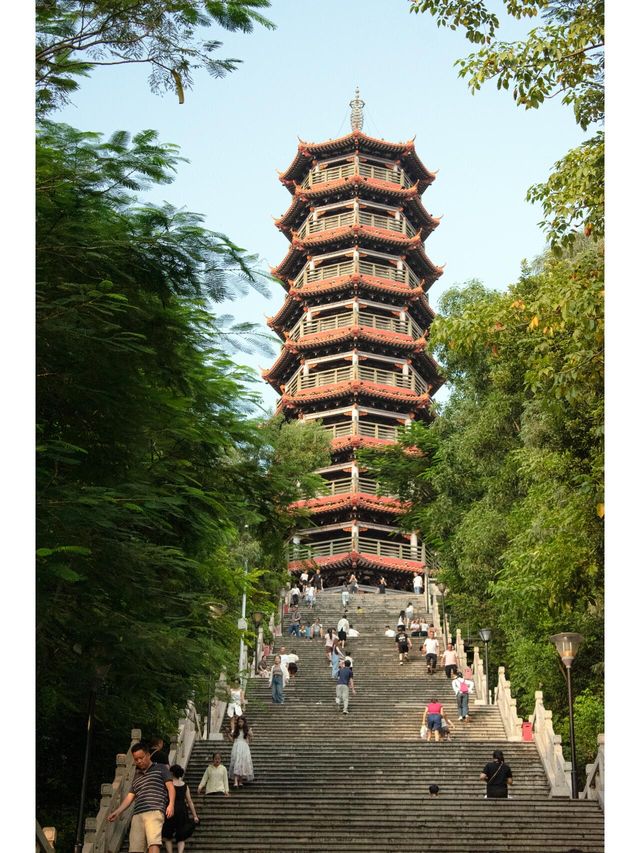 深圳紅花山公園｜走進有風的公園。