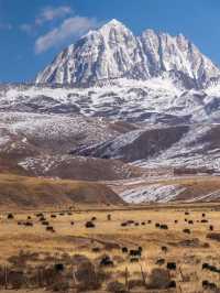 聽我說，冬天去川西看雪山。