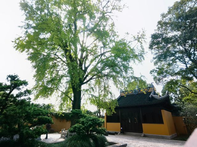 蘇州上方山景區（）。