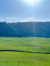 新疆 | 邂逅一望無際的草原。