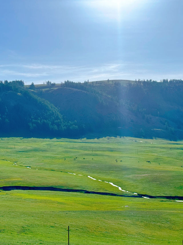 新疆 | 邂逅一望無際的草原。 新疆 | 邂逅一望無際的草原。