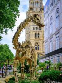 London Natural History Museum full of history 🇬🇧 