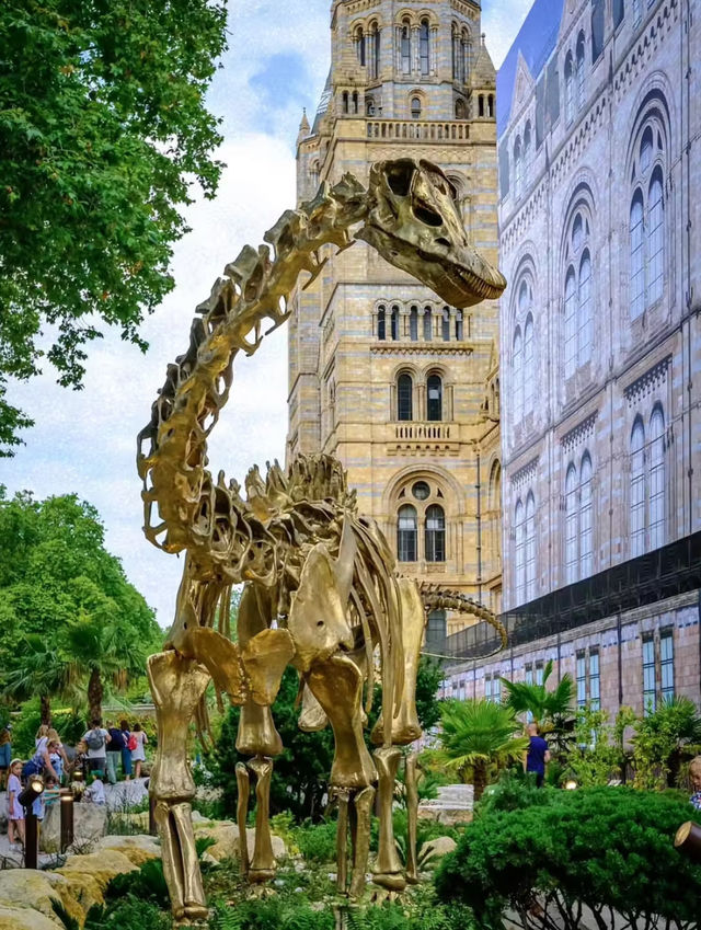 London Natural History Museum full of history 🇬🇧 