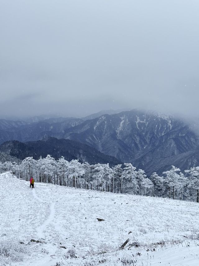 西安秦嶺東梁|雪後的東梁，如她的名字一樣別緻。