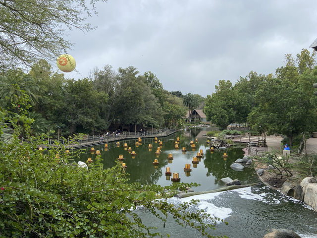 Safari Park 聖地牙哥動物園野生動物園。