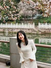 成都的春天來啦快來東湖公園。
