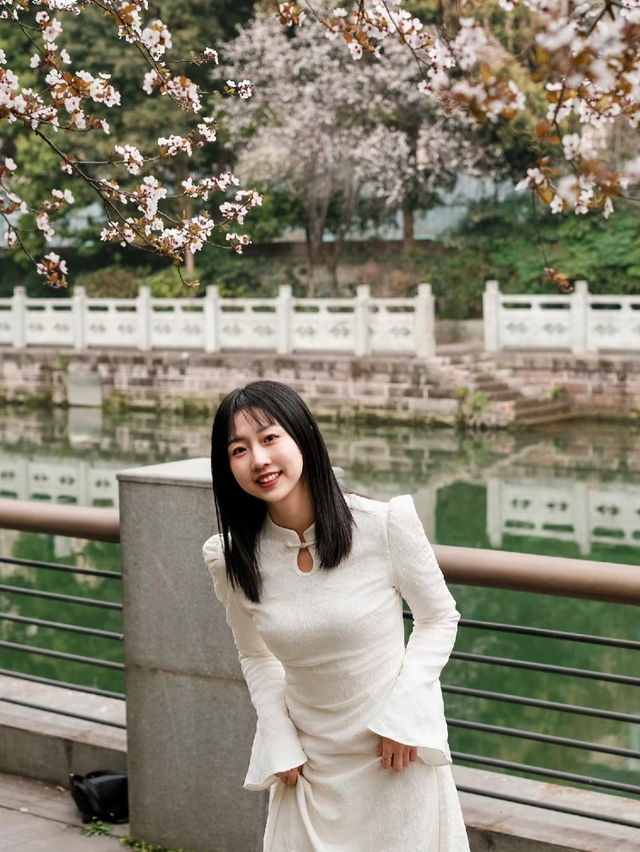 成都的春天來啦快來東湖公園。