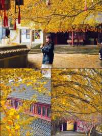 你必須要知道的小眾景點——懸空寺。