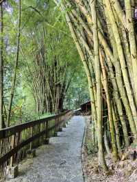 雲南文山壩美|和你共度三生三世十里桃花