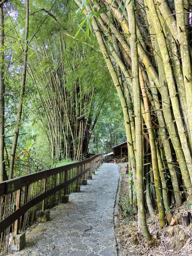 雲南文山壩美|和你共度三生三世十里桃花