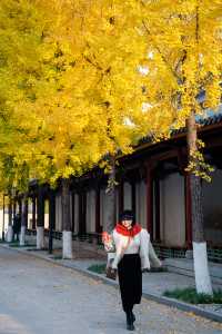 2025年來武漢第一站本地人帶你逛歸元寺