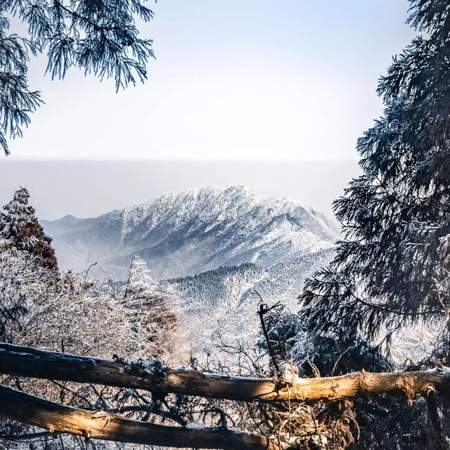 白雪皑皑·山巅美景大放送。