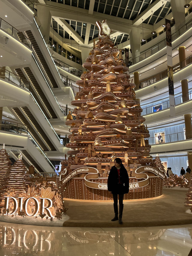 Shanghai christmas city walk 