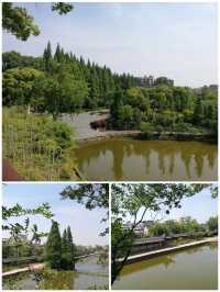 赤壁當懷古,詩情憶東坡