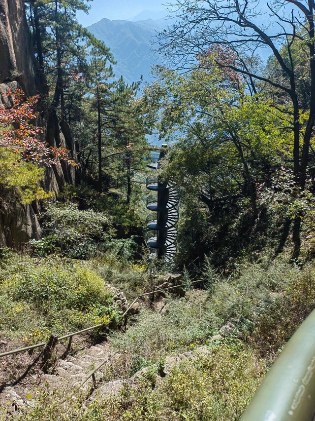 雲端上的雞峰山