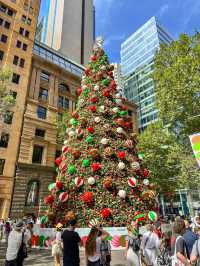Sydney's Martin Place Hosts the Southern Hemisphere's Tallest Christmas Tree