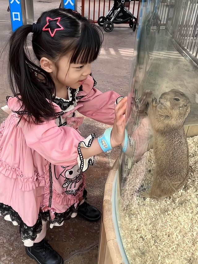 奇遇時光樂園開啦!中山親子遊玩新地標! 奇遇時光樂園開啦!中山親子遊玩新地標!