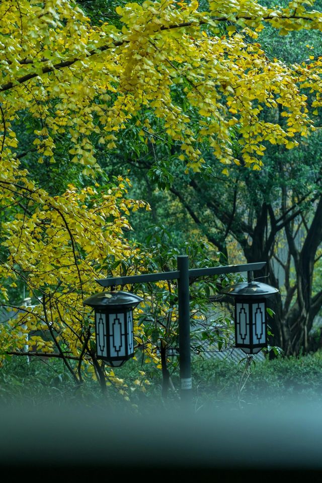 重慶石門公園遊玩