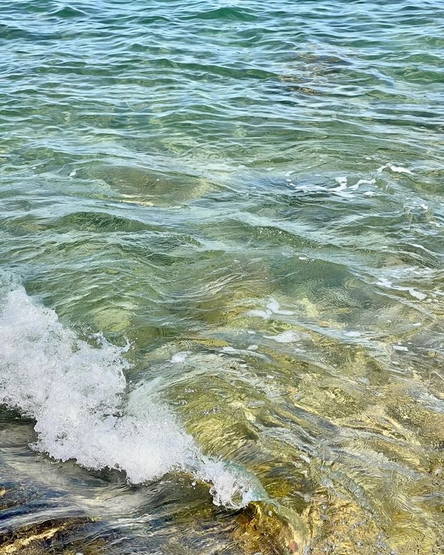 龍蝦灣海岸環線  好像看到了海豚