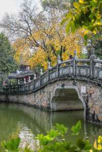 錯過再等一年佛山這個地鐵直達的公園秋景好美