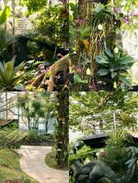 湖南省植物園 | 我好像走進了森林秘境