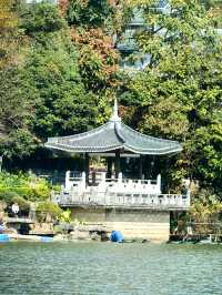 桂林桂湖