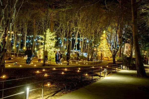 Experience the Magic of Christmas at Karuizawa Kogen Church