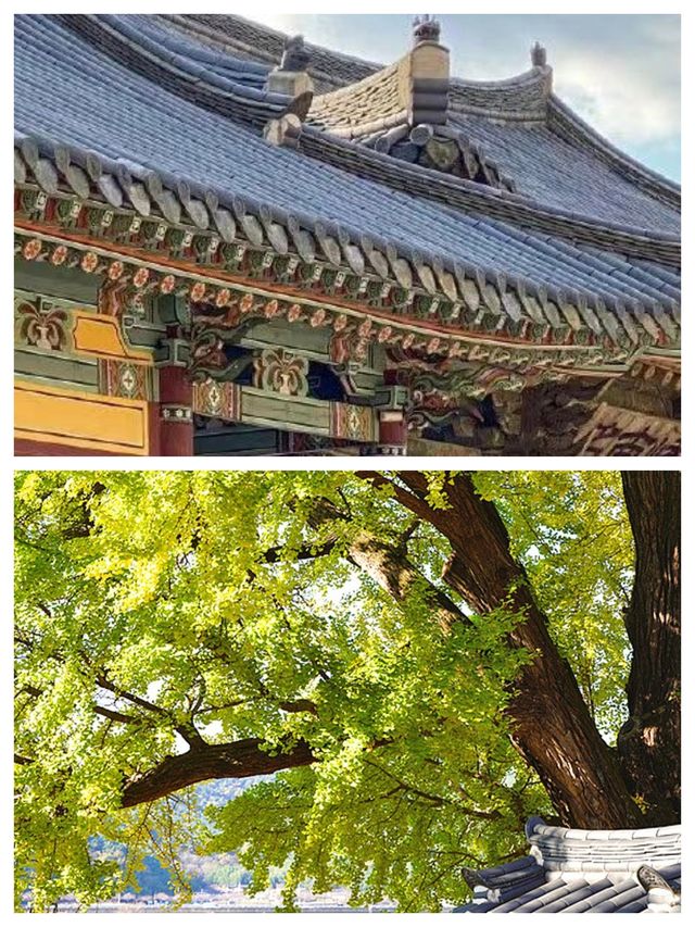 歡迎來到密陽，感受韓國的文化與自然之美