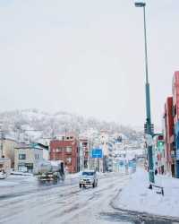 北海道必打卡【附攻略】