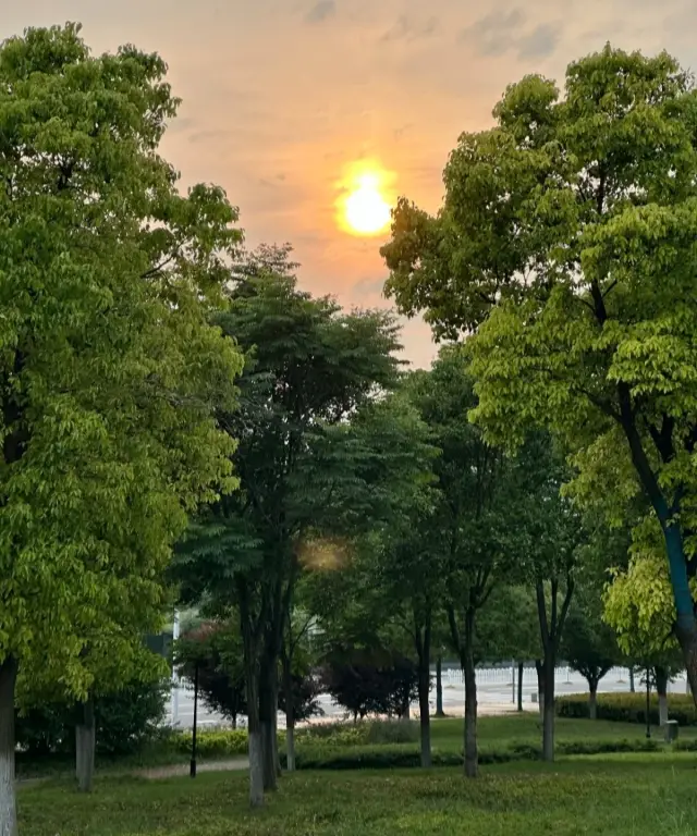 I was lucky enough to experience all four seasons in Xiangyang!