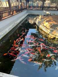 北京水城一瓢私湯度假酒店