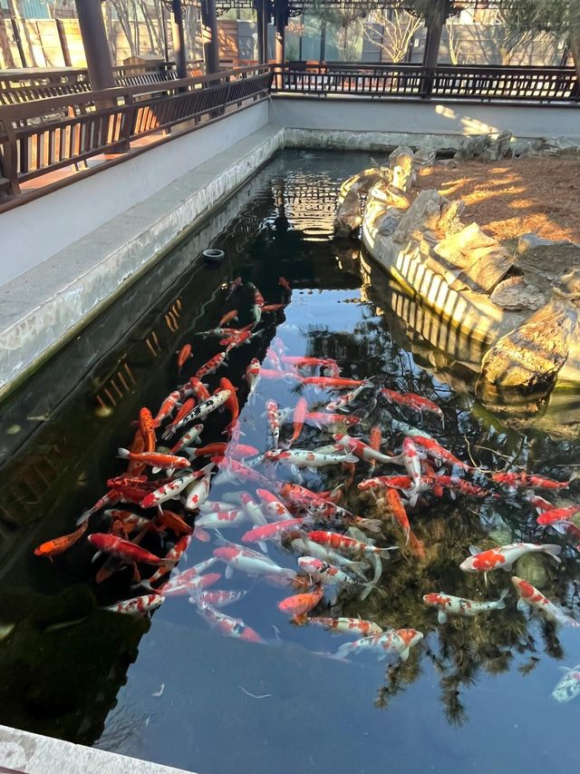 北京水城一瓢私湯度假酒店