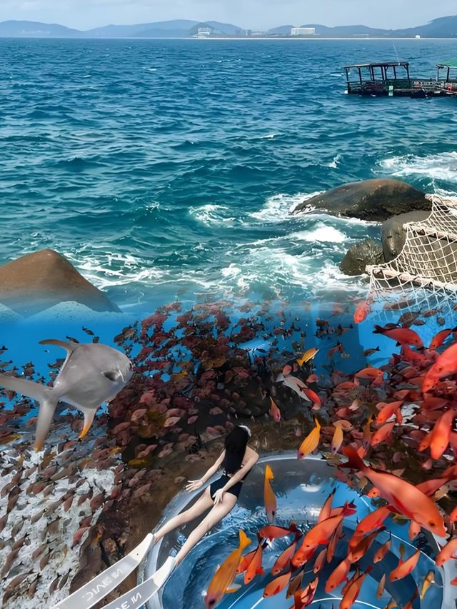 來陵水，不可錯過的分界洲島，體驗超讚潛水體驗