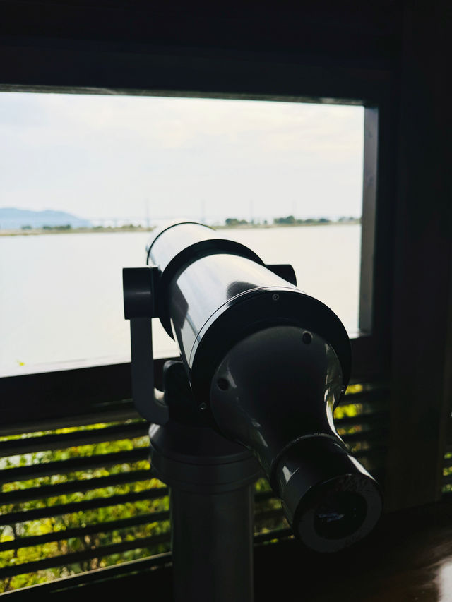 二井灣濕地公園打卡指南·珠海橫琴週末