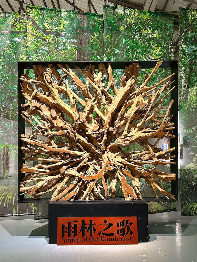 深圳市華僑城：“雨林之歌”的奇幻之旅