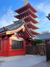 2月錯峰遊日本，伊豆河津早櫻絕美綻放！
