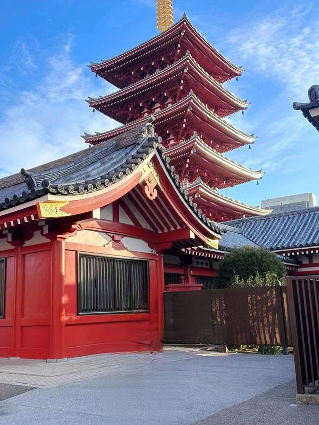2月錯峰遊日本，伊豆河津早櫻絕美綻放！