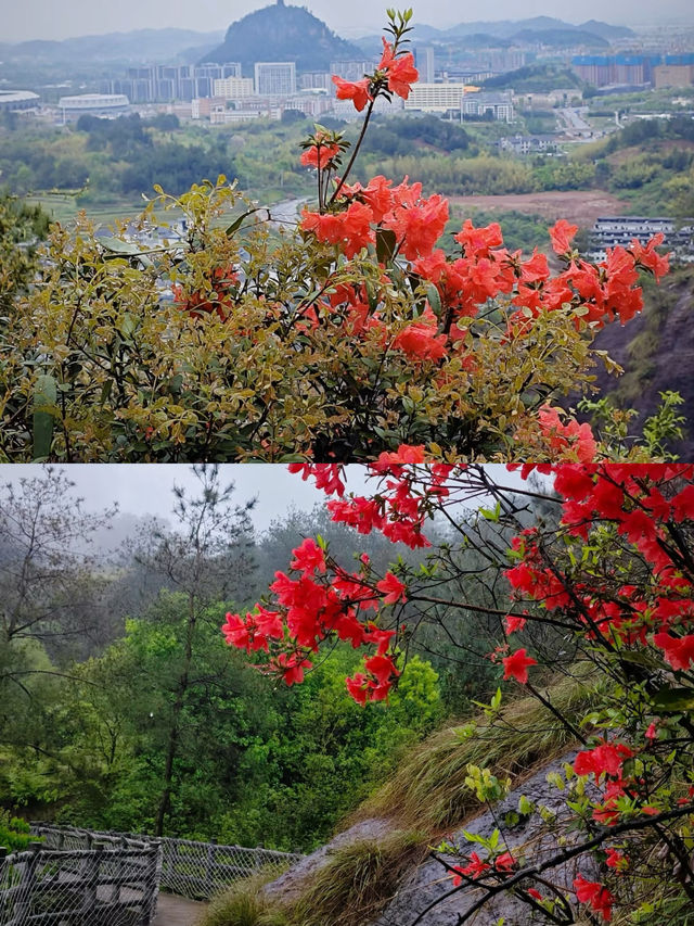 江浙滬周邊！這座寶藏仙山也太好玩了吧