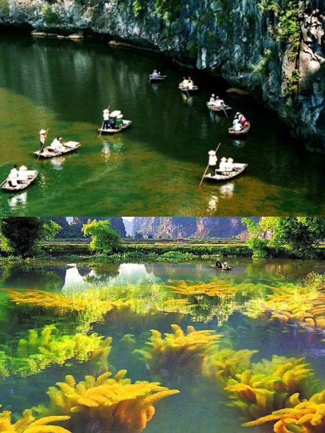 仙境啊，寶貝們你敢想，呢個真係存在