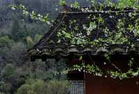 假期旅遊網紅打卡地：上饒望仙谷