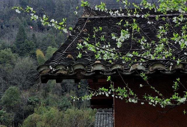 假期旅遊網紅打卡地：上饒望仙谷