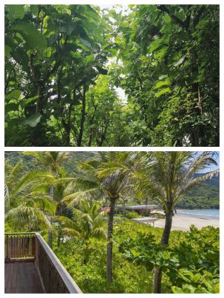 Explore Thai Nguyen, Vietnam: A Cultural Journey Through Time