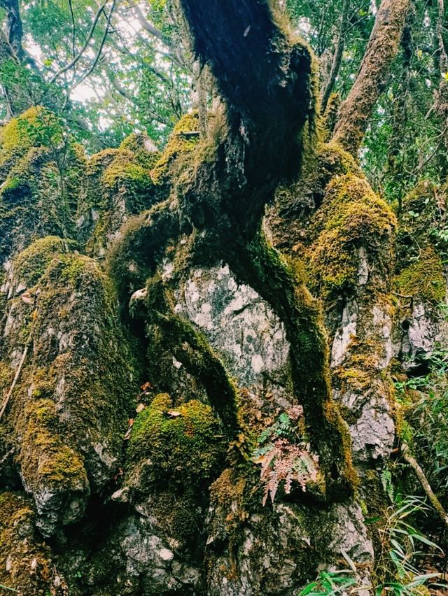 Jindaoxia Adventure: A Trilling Canyone World